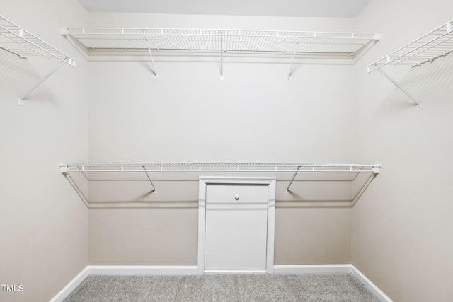 5644 Picnic Rock Ln, Raleigh, NC 27613 - walk in closet with carpet flooring