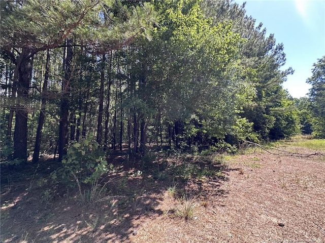 179 Woods Edge Ln, Erwin, NC 28339
