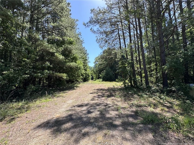 179 Woods Edge Ln, Erwin, NC 28339