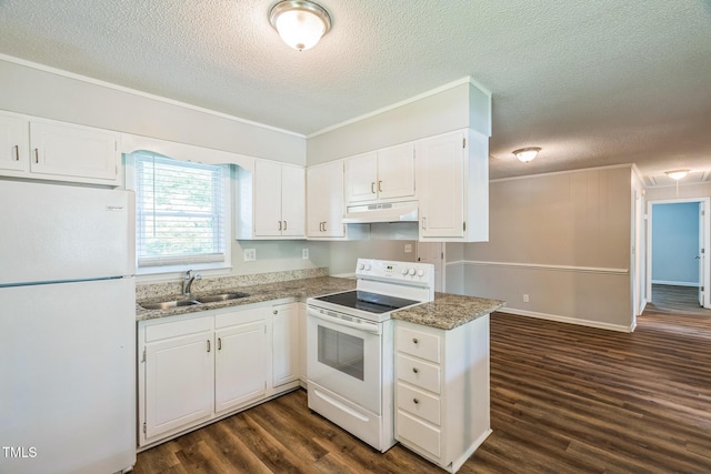 605 Sexton Ave, Zebulon, NC 27597 - kitchen featuring white appliances, a sink, under cabinet range hood, a textured ceiling, and dark wood-type flooring