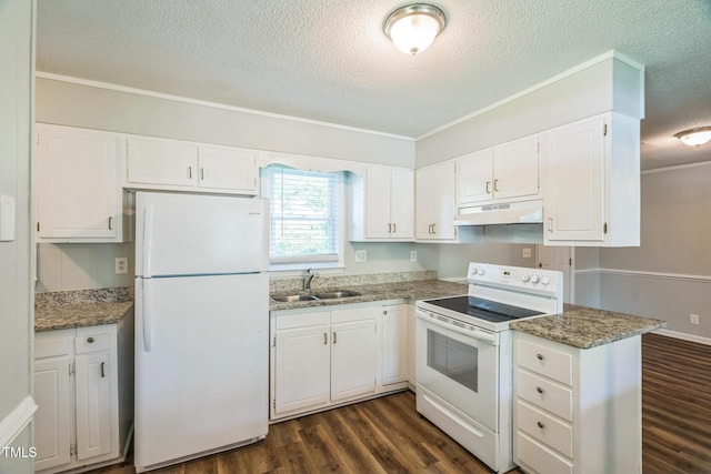 605 Sexton Ave, Zebulon, NC 27597 - kitchen featuring white appliances, a sink, a textured ceiling, under cabinet range hood, and dark wood-style flooring
