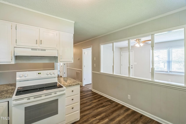 605 Sexton Ave, Zebulon, NC 27597 - kitchen with electric stove, extractor fan, dark wood finished floors, crown molding, and white cabinets