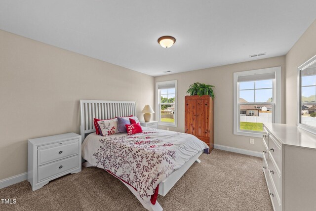 80 Shallow Falls Ln, Benson, NC 27504