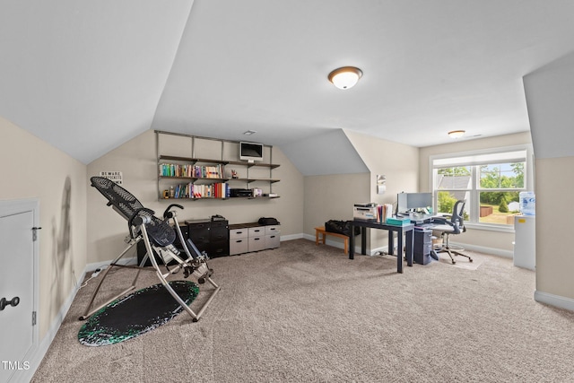80 Shallow Falls Ln, Benson, NC 27504