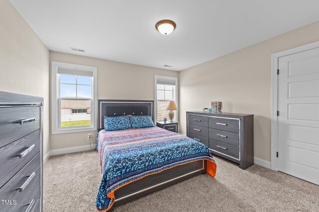 80 Shallow Falls Ln, Benson, NC 27504