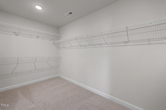 267 Old Fashioned Way, Lillington, NC 27546 - walk in closet with carpet