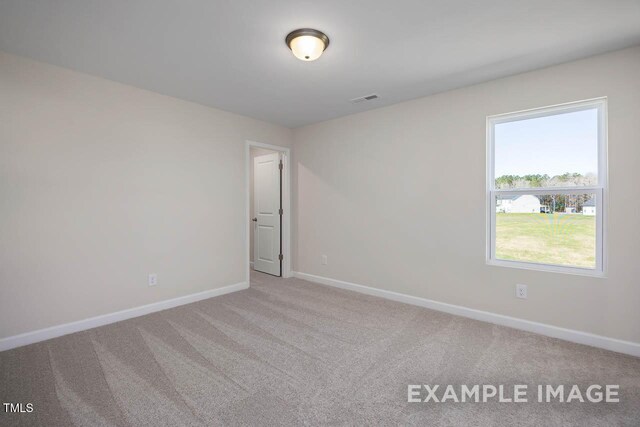 267 Old Fashioned Way, Lillington, NC 27546 - photo 18