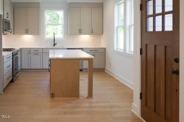 974 Double Helix Rd, Apex, NC 27523 - kitchen featuring a sink, stainless steel appliances, plenty of natural light, and light wood-style floors