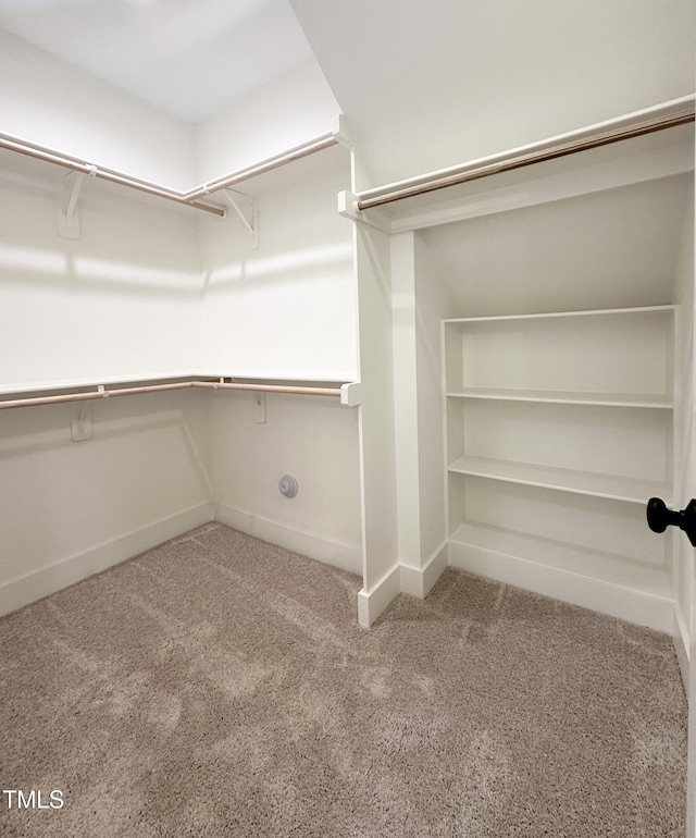 974 Double Helix Rd, Apex, NC 27523 - spacious closet with carpet floors