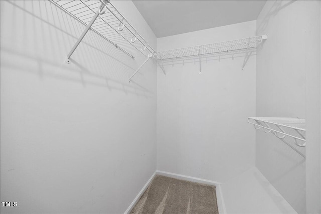 618 Durwood Dr, Raleigh, NC 27603 - walk in closet with carpet floors
