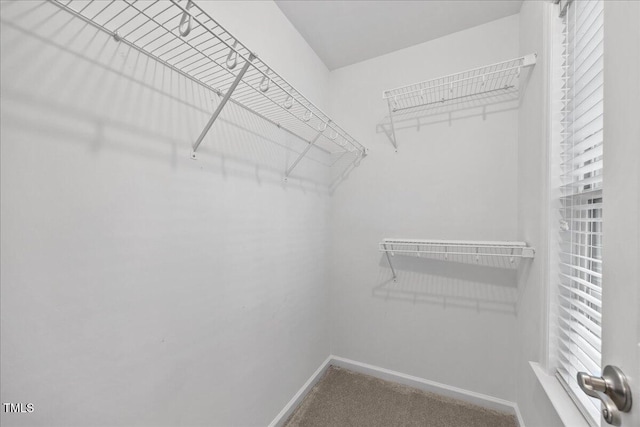 618 Durwood Dr, Raleigh, NC 27603 - walk in closet with carpet flooring