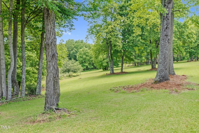 0 Lakeview Rd, Danbury, NC 27016