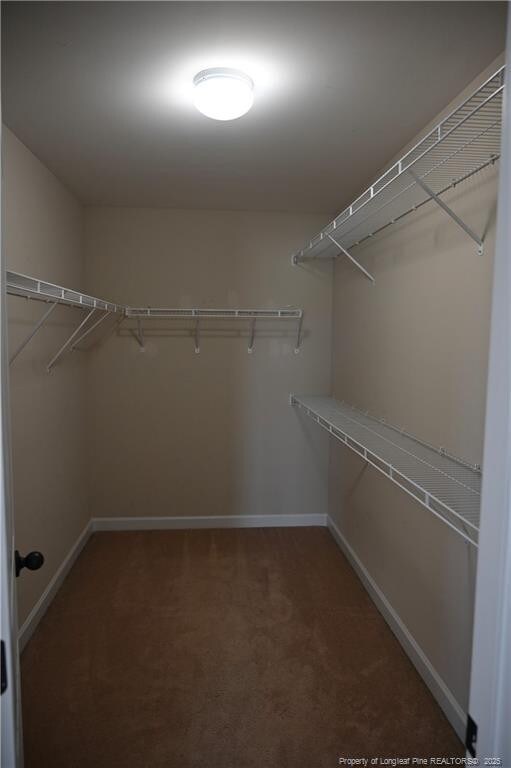 579 Wedgefield Dr, Raeford, NC 28376 - spacious closet with carpet flooring