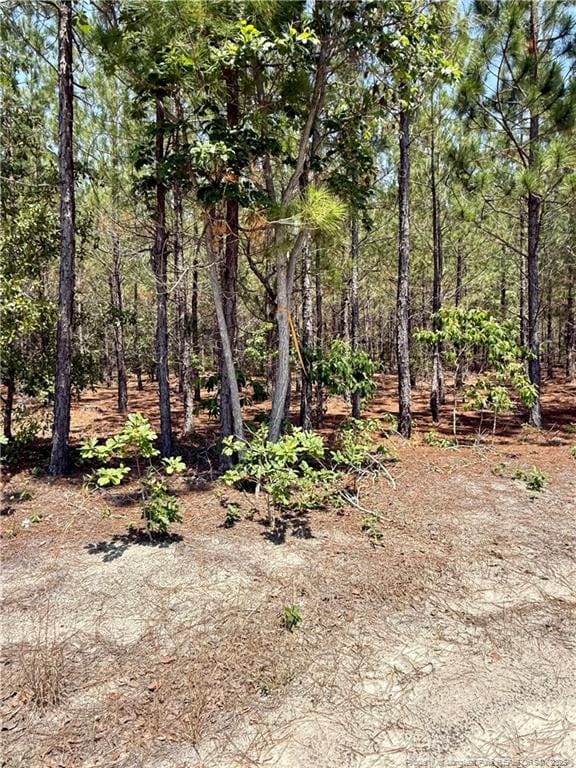 TBD2 N Turnpike Rd, Wagram, NC 28396