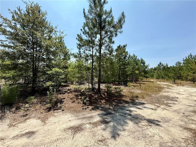 TBD2 N Turnpike Rd, Wagram, NC 28396