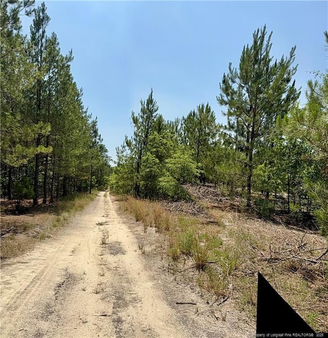 TBD2 N Turnpike Rd, Wagram, NC 28396