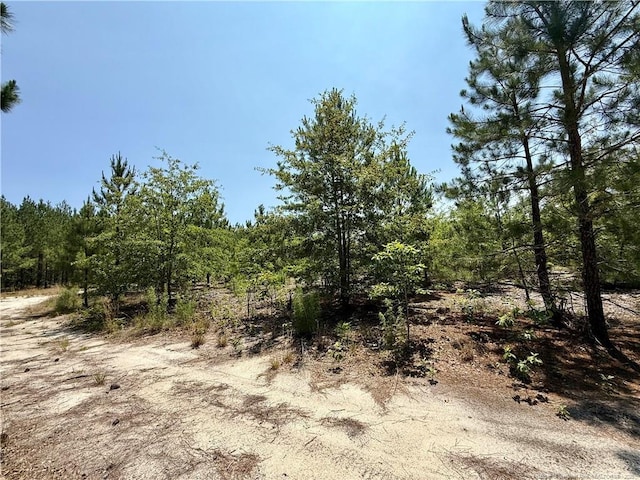 TBD2 N Turnpike Rd, Wagram, NC 28396