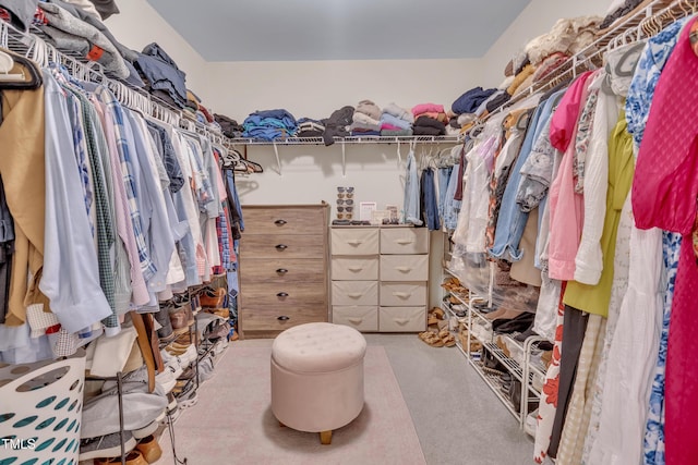 2310 Turning Pointe Way, Hillsborough, NC 27278 - walk in closet featuring carpet