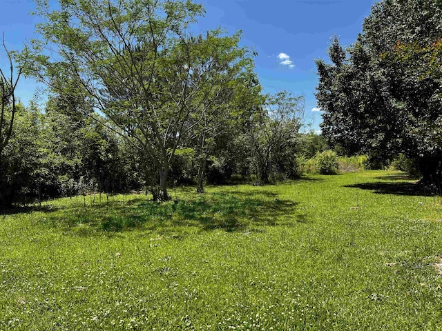 2527 Joel Johnson Rd, Lillington, NC 27546 - photo 2
