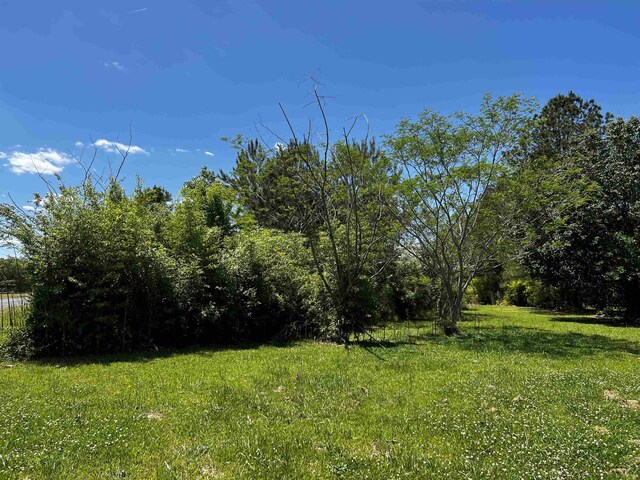 2527 Joel Johnson Rd, Lillington, NC 27546 - photo 3
