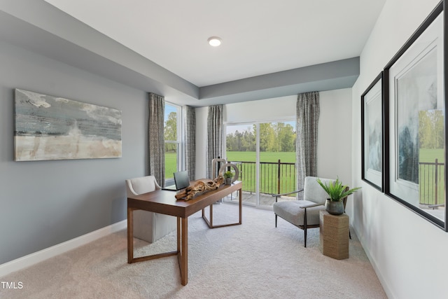 144 N White St # 100, Wake Forest, NC 27587 - home office with light colored carpet and baseboards