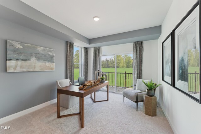 144 N White St # 100, Wake Forest, NC 27587 - home office with light colored carpet and baseboards