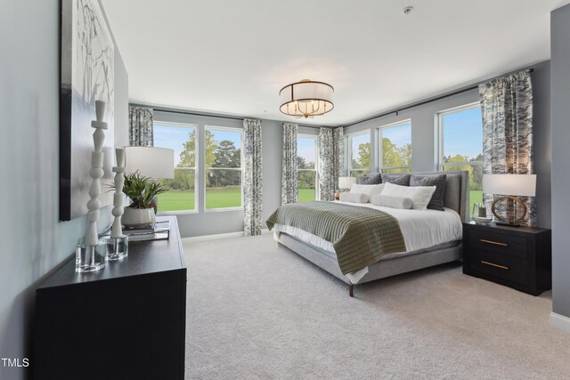 144 N White St # 100, Wake Forest, NC 27587 - bedroom with light colored carpet and baseboards