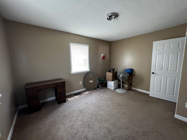 2657 Joel Johnson Rd, Lillington, NC 27546 - photo 12