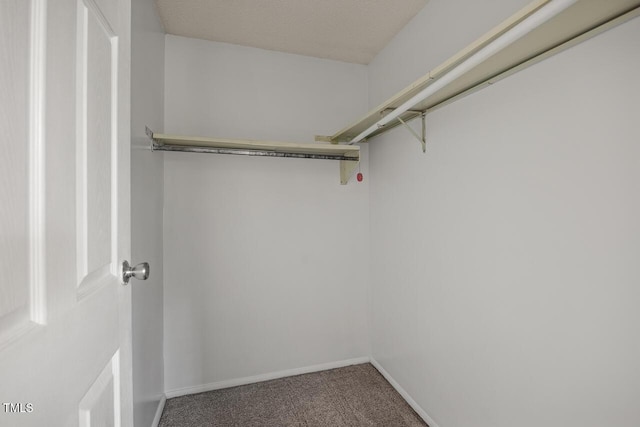 7731 Kingsberry Ct, Raleigh, NC 27615 - walk in closet featuring carpet floors