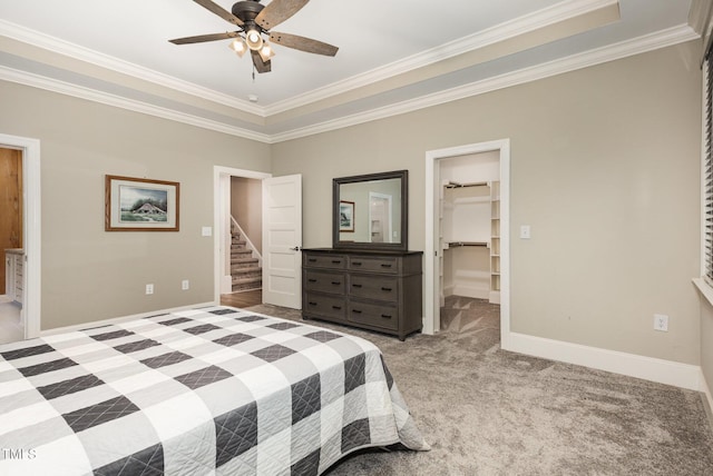 40 Yellowstone Ct, Youngsville, NC 27596 - bedroom featuring ornamental molding, a walk in closet, baseboards, a closet, and ceiling fan