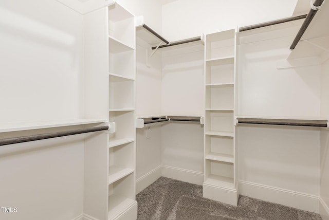 40 Yellowstone Ct, Youngsville, NC 27596 - walk in closet featuring dark carpet