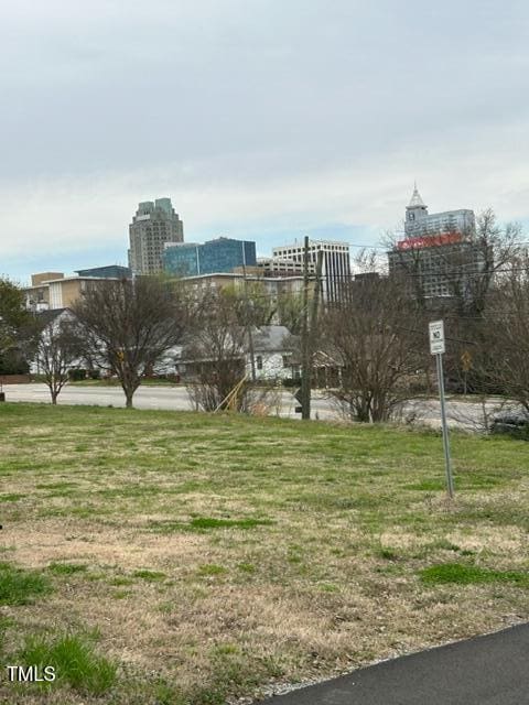 407 Bledsoe Ave, Raleigh, NC 27601 - view of property's community featuring a yard