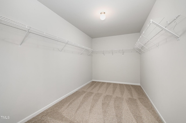 6044 Lowgrass Rd, Stedman, NC 28391 - spacious closet with light carpet
