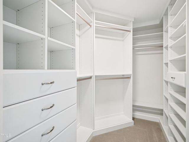 305 Promontory Point Dr, Cary, NC 27513 - walk in closet featuring carpet