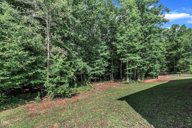 267 Ashley Woods Ct, Clayton, NC 27527 - photo 38