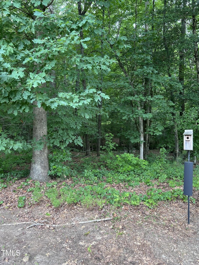 267 Ashley Woods Ct, Clayton, NC 27527 - photo 40