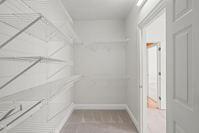 4831 Crestmore Rd Unit 202, Raleigh, NC 27612 - walk in closet featuring light carpet