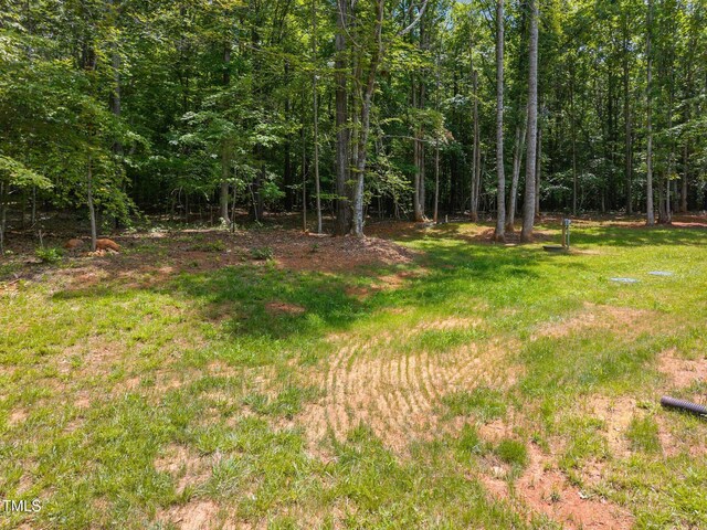 5300 Langdon Dr, Oxford, NC 27565 - photo 12