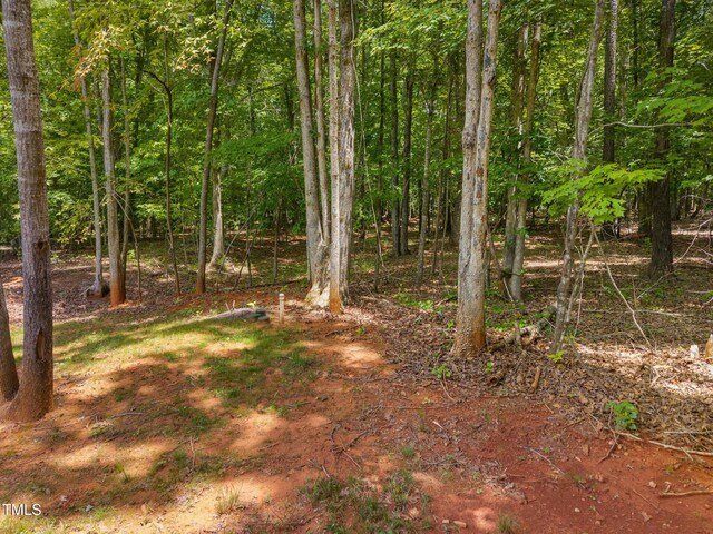 5300 Langdon Dr, Oxford, NC 27565 - photo 15