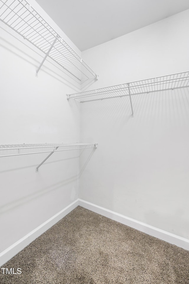 2623 Broad Oaks Pl, Raleigh, NC 27603 - walk in closet featuring carpet floors