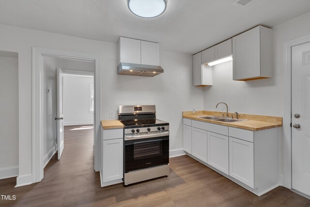 414 Craven St, Durham, NC 27704 - kitchen with stainless steel range oven, a sink, wooden counters, under cabinet range hood, and wood finished floors