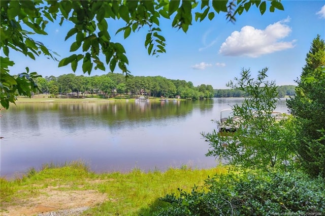 1116 Falling Strm, Sanford, NC 27332 - photo 42