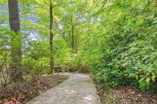 1116 Falling Strm, Sanford, NC 27332 - photo 44