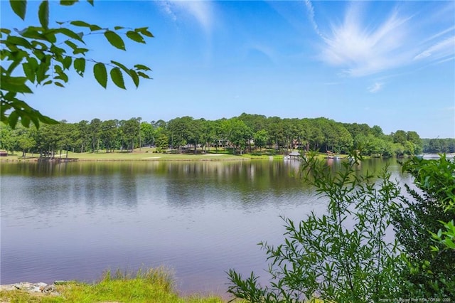 1116 Falling Strm, Sanford, NC 27332 - photo 45
