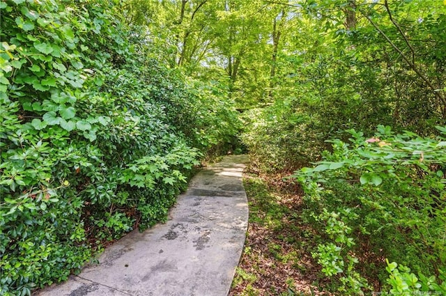 1116 Falling Strm, Sanford, NC 27332 - photo 47