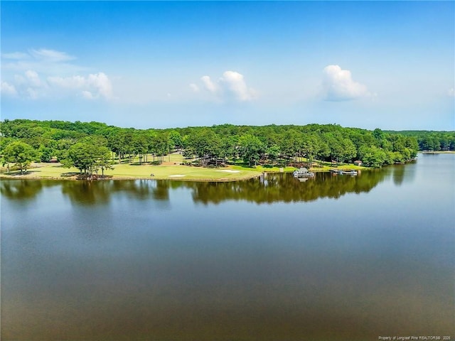 1116 Falling Strm, Sanford, NC 27332 - photo 48
