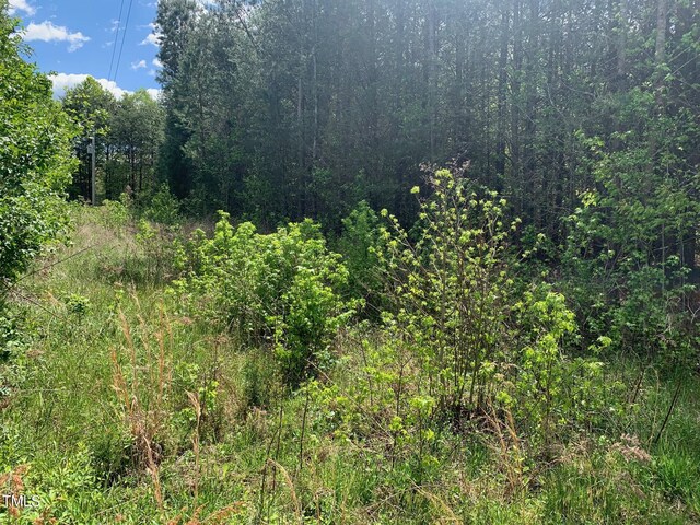 0 Helena Moriah Rd, Timberlake, NC 27583