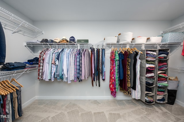 226 Castle Pond Way, Fuquay Varina, NC 27526 - walk in closet with carpet floors