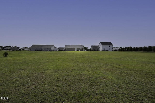 60 Falling Leaf Ln, Benson, NC 27504 - view of green lawn