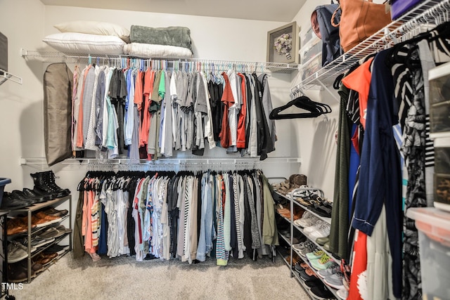 77 Redpine Ct, Clayton, NC 27520 - view of walk in closet